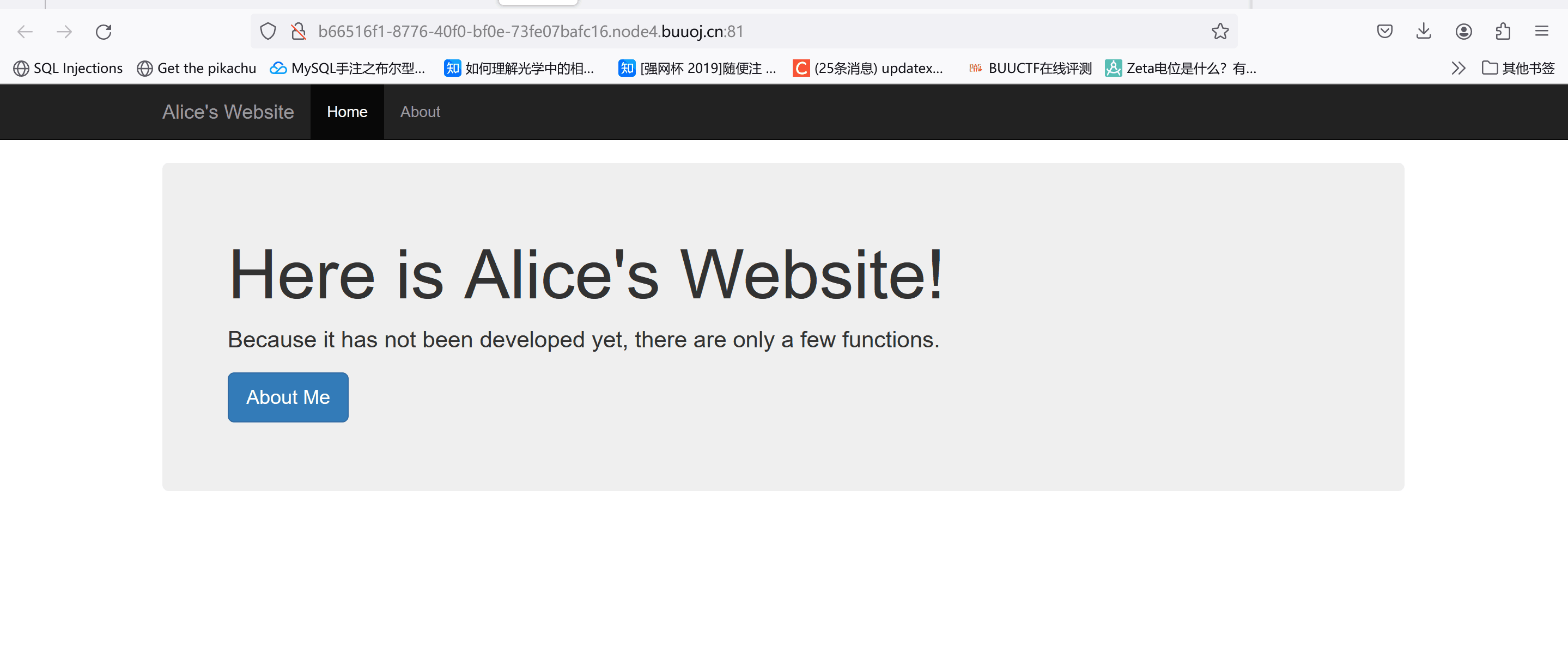 AliceWebsite1