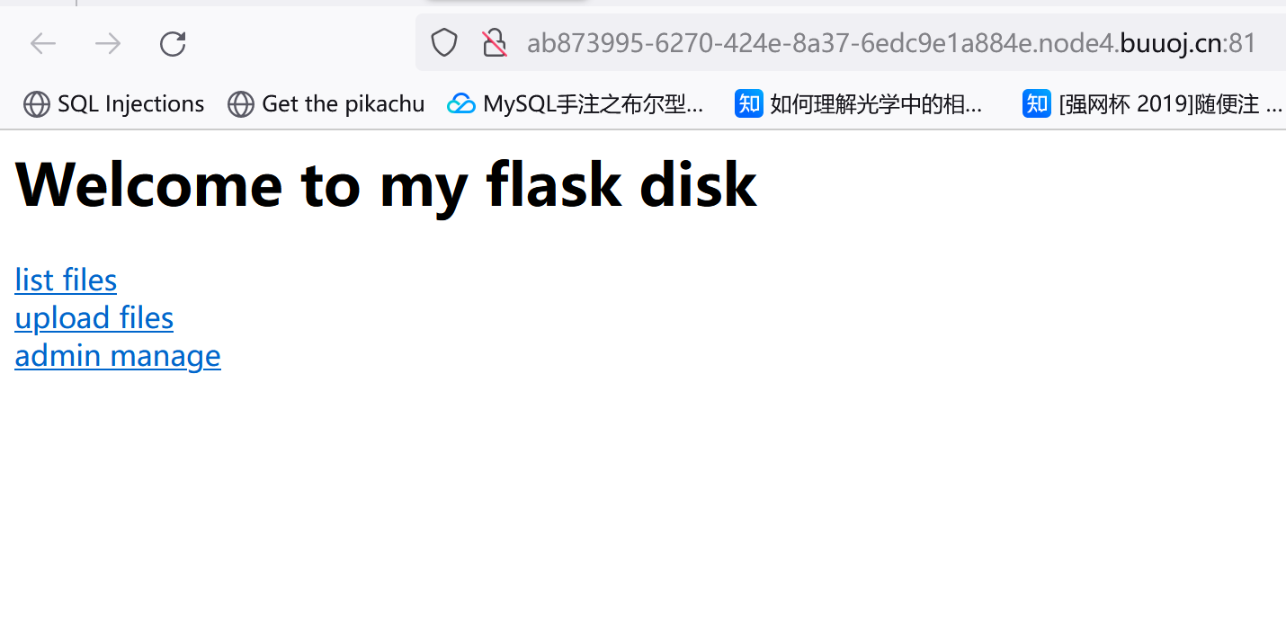 flaskdisk1